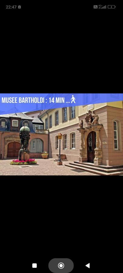 Refuge Ladhof Odysalis I Chic-Moderne-Proche Du Centre-Ville 3 Pieces 2 Chambres Colmar Exterior photo
