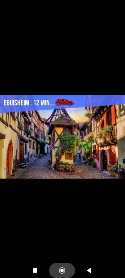Refuge Ladhof Odysalis I Chic-Moderne-Proche Du Centre-Ville 3 Pieces 2 Chambres Colmar Exterior photo