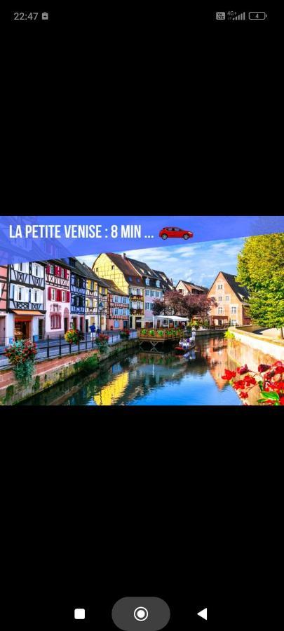 Refuge Ladhof Odysalis I Chic-Moderne-Proche Du Centre-Ville 3 Pieces 2 Chambres Colmar Exterior photo