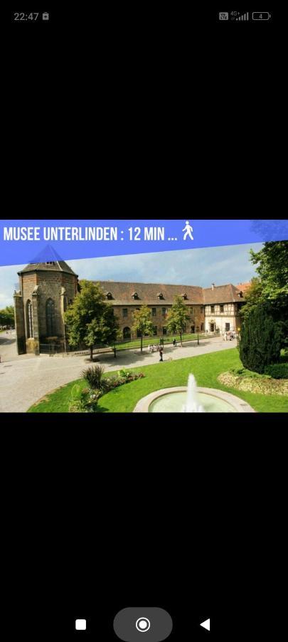 Refuge Ladhof Odysalis I Chic-Moderne-Proche Du Centre-Ville 3 Pieces 2 Chambres Colmar Exterior photo